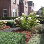 IMG_2397 IMG_2397
