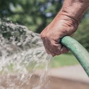 onderhoud: water geven onderhoud: water geven