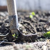 Omspitten De tuin omspitten